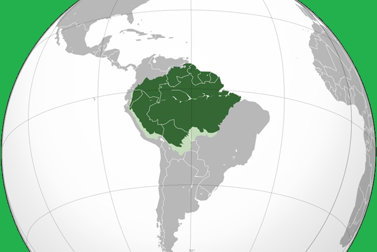 Amazônia sonora: gêneros regionais, Caribe e indústria musical