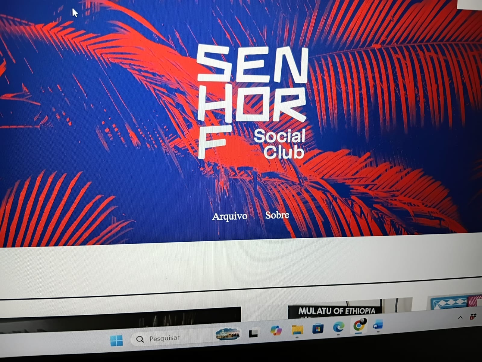 Site Senhor F, dos primórdios da internet à referência da cena musical do país